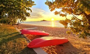 Kayaks on the beach