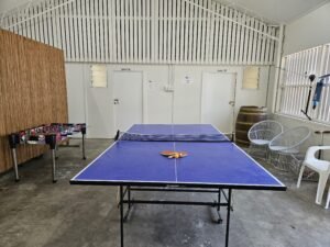 Table Tennis Table