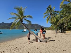 People Standing around the Famous Montes Palm tree