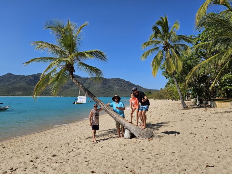 People Standing around the Famous Montes Palm tree