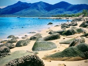 Search for sea life on the rocks