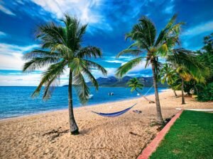 A hammock on the beach surrounded by palm trees at Montes Reef Resort